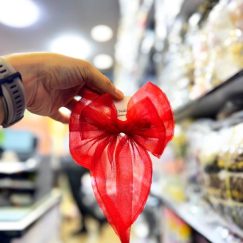 گیره فرانسوی پاپیون توری یلدایی